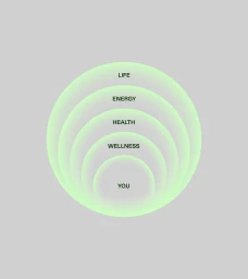 Concentric glowing green circular rings with typography on a solid grey background for Lulu Wellness brand identity