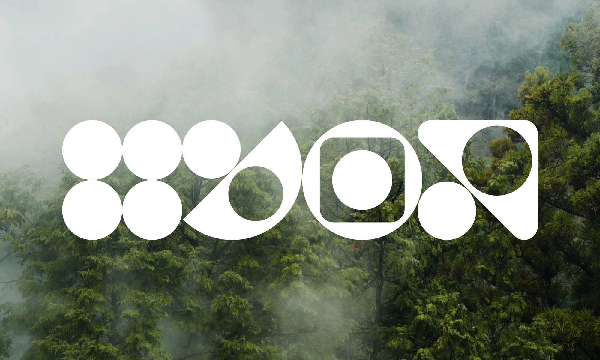 Abstract geometric shapes form a logo over a dense forest with a misty background, creating a modern, nature-inspired design.
