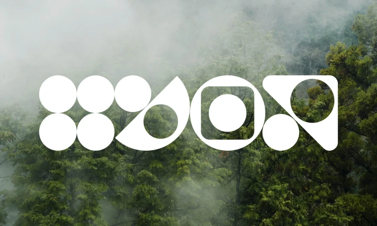 Abstract geometric shapes form a logo over a dense forest with a misty background, creating a modern, nature-inspired design.