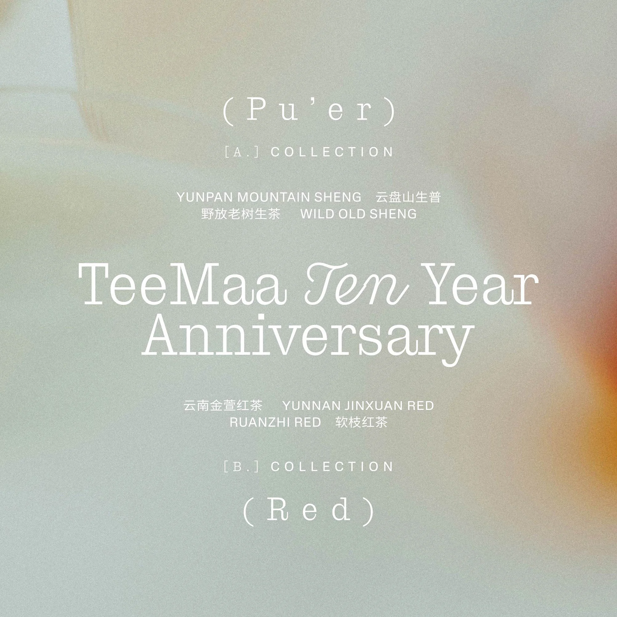 Tea package design for TeeMa Ten Year Anniversary features text in English and Chinese, promoting Pu'er and Red tea collections.