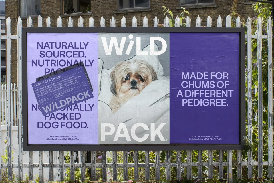 Brand Identity