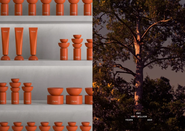 Image split between studio shot of TWYG brand orange geometric objects on shelves and nature shot of a dark oak tree.