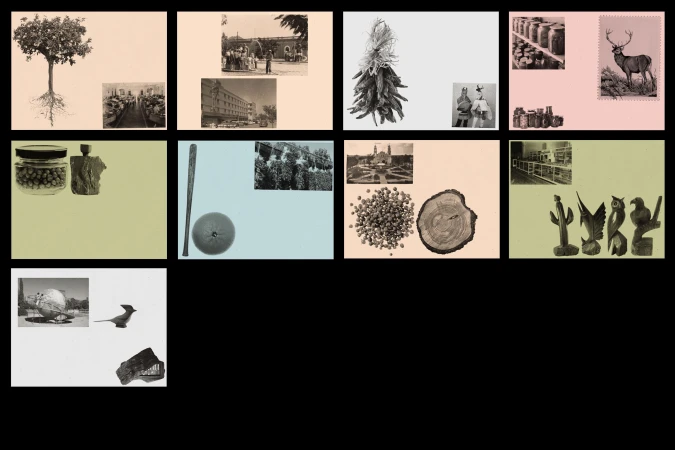 Collage of black and white vintage images, includes trees, buildings, food items, and decorative carvings in various vignettes.