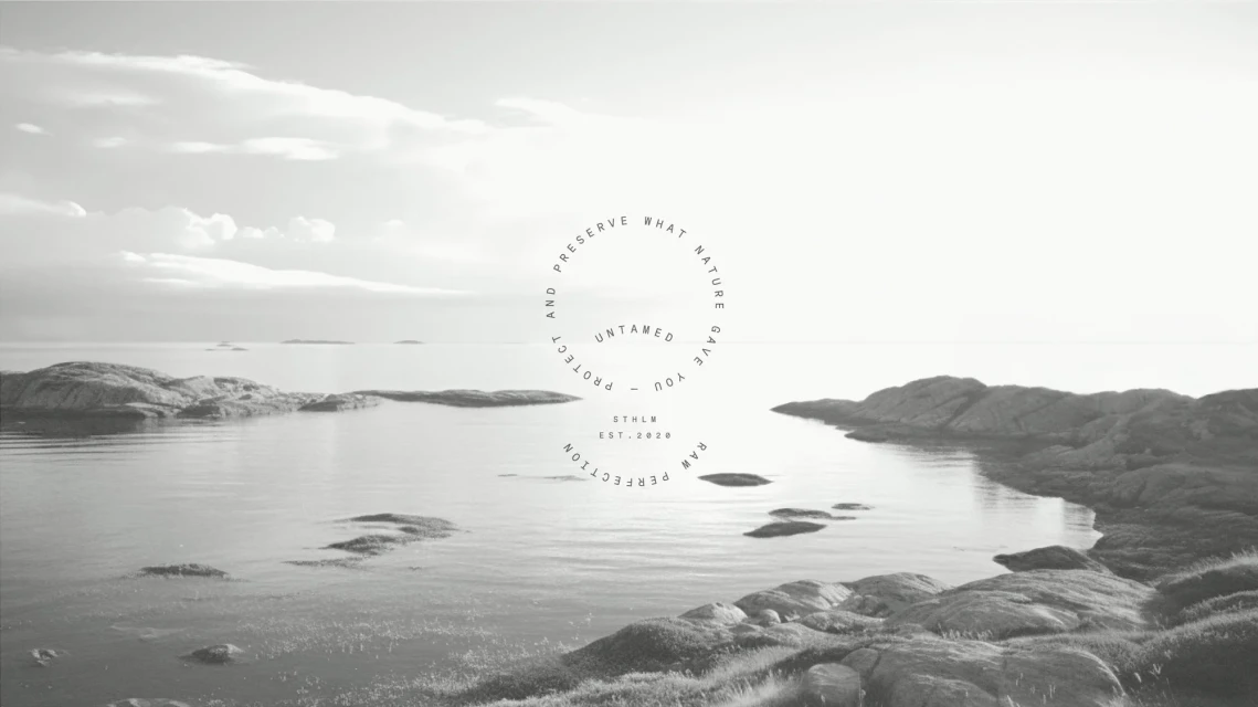 Brand Identity