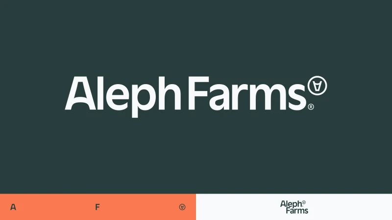 Brand Identity