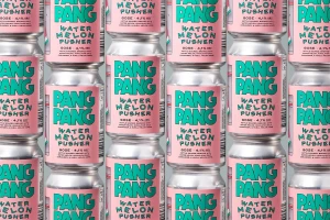 Repeated pattern of PangPang Watermelon Pusher beer cans featuring pink labels and bold green typography against a grey background.