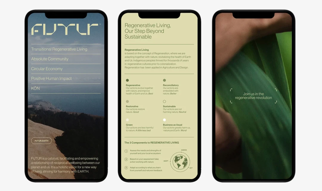 Brand Identity
