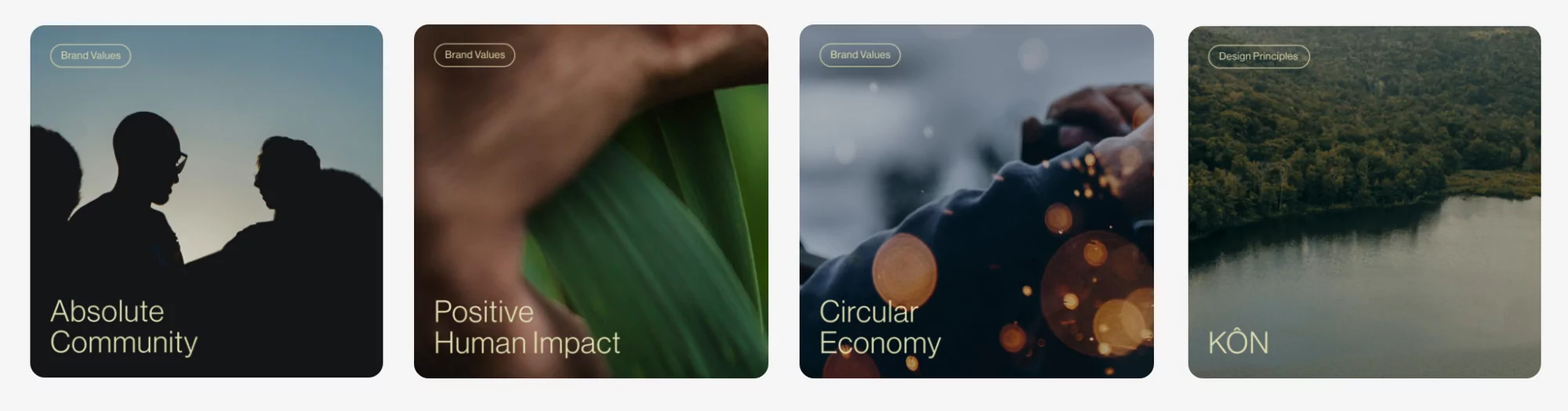 A collection of four images showing people silhouettes, a green plant, a person wearing a jacket, and a landscape with a body of water.