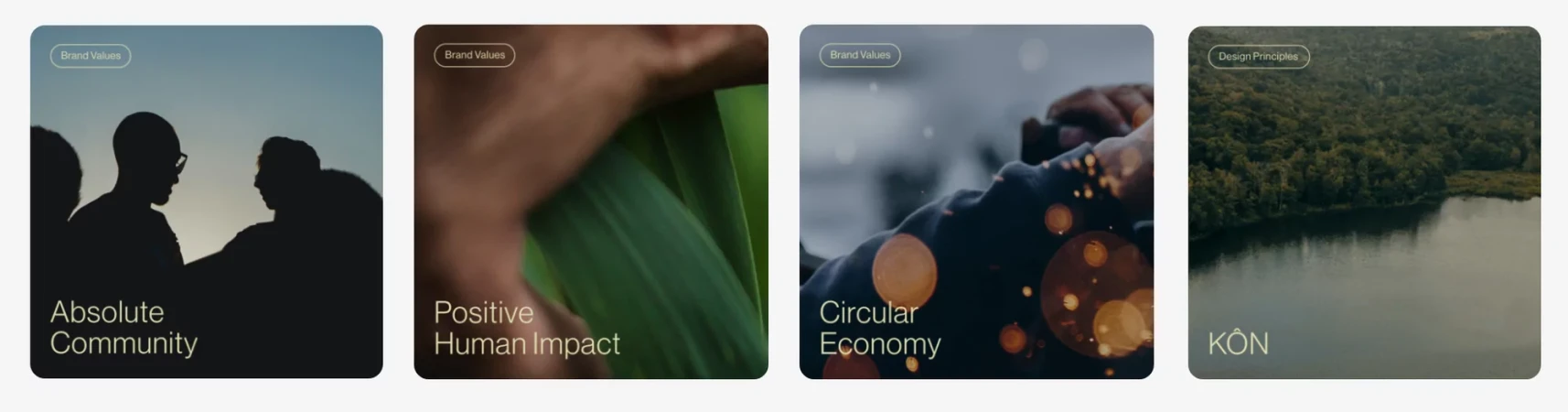 A collection of four images showing people silhouettes, a green plant, a person wearing a jacket, and a landscape with a body of water.