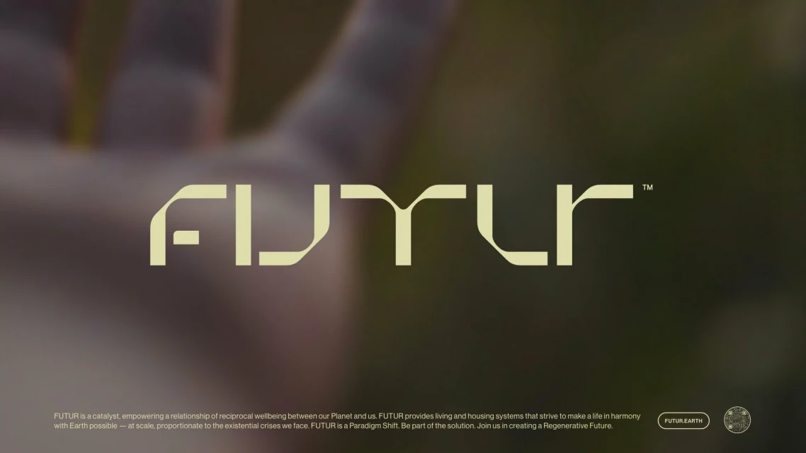 Brand Identity