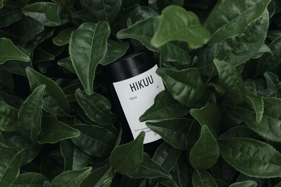 Black cylindrical container for health and beauty product lies nestled amongst lush green foliage of tea leaves; product shot