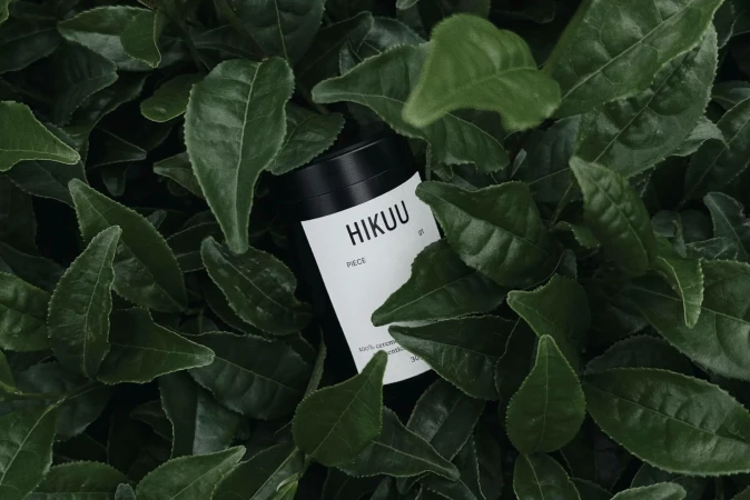 Black cylindrical container for health and beauty product lies nestled amongst lush green foliage of tea leaves; product shot