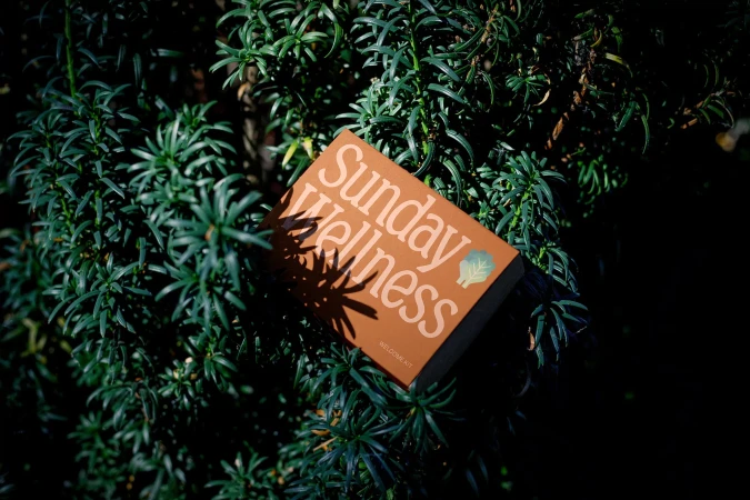Brown wellness kit box with 'Sunday Wellness' text, nestled within green foliage, creating a natural and health-focused visual.