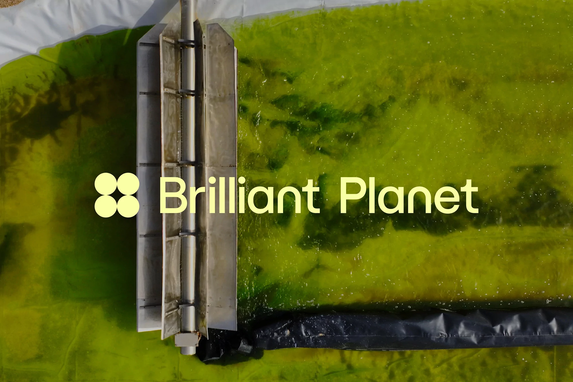 Overhead shot of a green liquid being processed with a metal device, with the words Brilliant Planet displayed prominently.