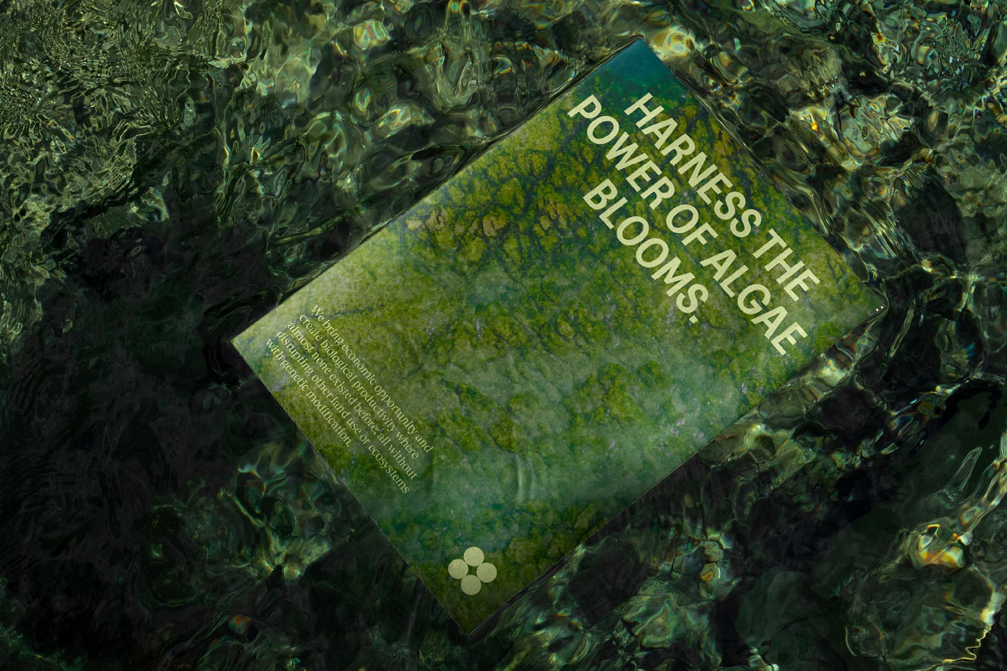 Eye-level close-up showing a brochure with the text 'Harness the power of algae blooms' partially submerged in shimmering green water.