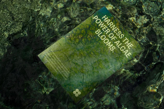 Eye-level close-up showing a brochure with the text 'Harness the power of algae blooms' partially submerged in shimmering green water.