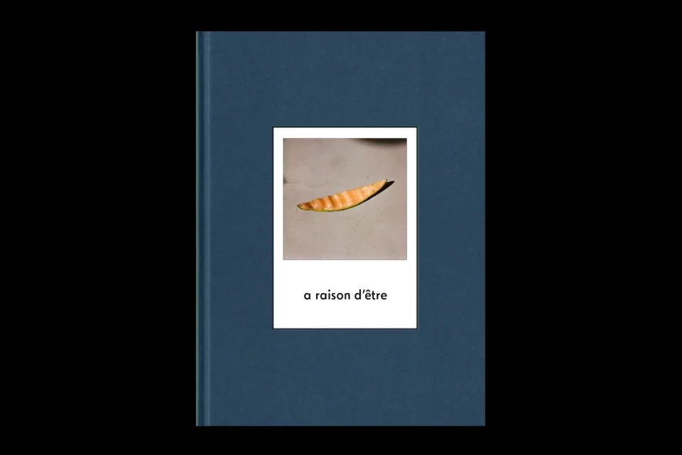 A book cover featuring a photograph of an isolated dried leaf on a white background, with the text 'a raison d'être' beneath it.