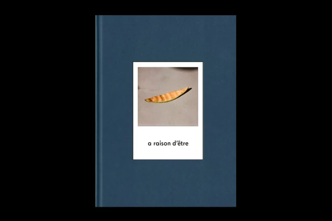 A book cover featuring a photograph of an isolated dried leaf on a white background, with the text 'a raison d'être' beneath it.