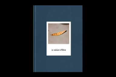 Blue book cover featuring a central framed photograph of a cantaloupe slice and text reading a raison d'etre