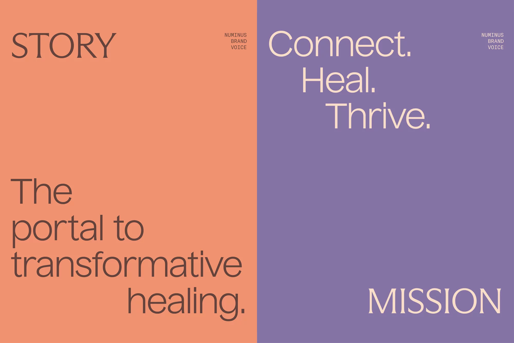 Motivational graphic featuring words "Story" and "Mission" on peach and lavender background, with Numinus Brand Voice and positive words.