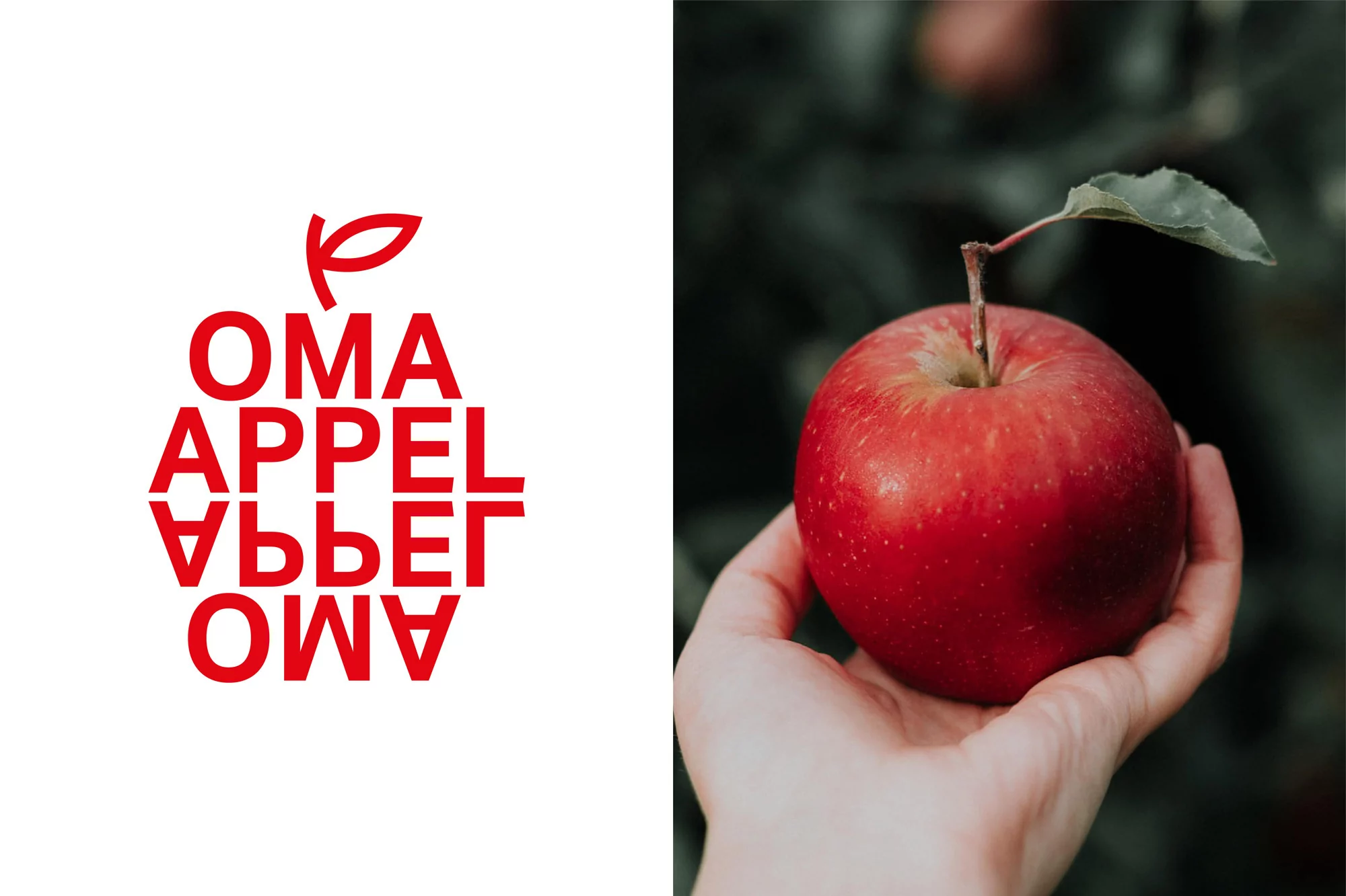 Red apple held in a fair-skinned hand, shown next to a text graphic that reads 'OMA APPEL AMO' in a stacked arrangement.