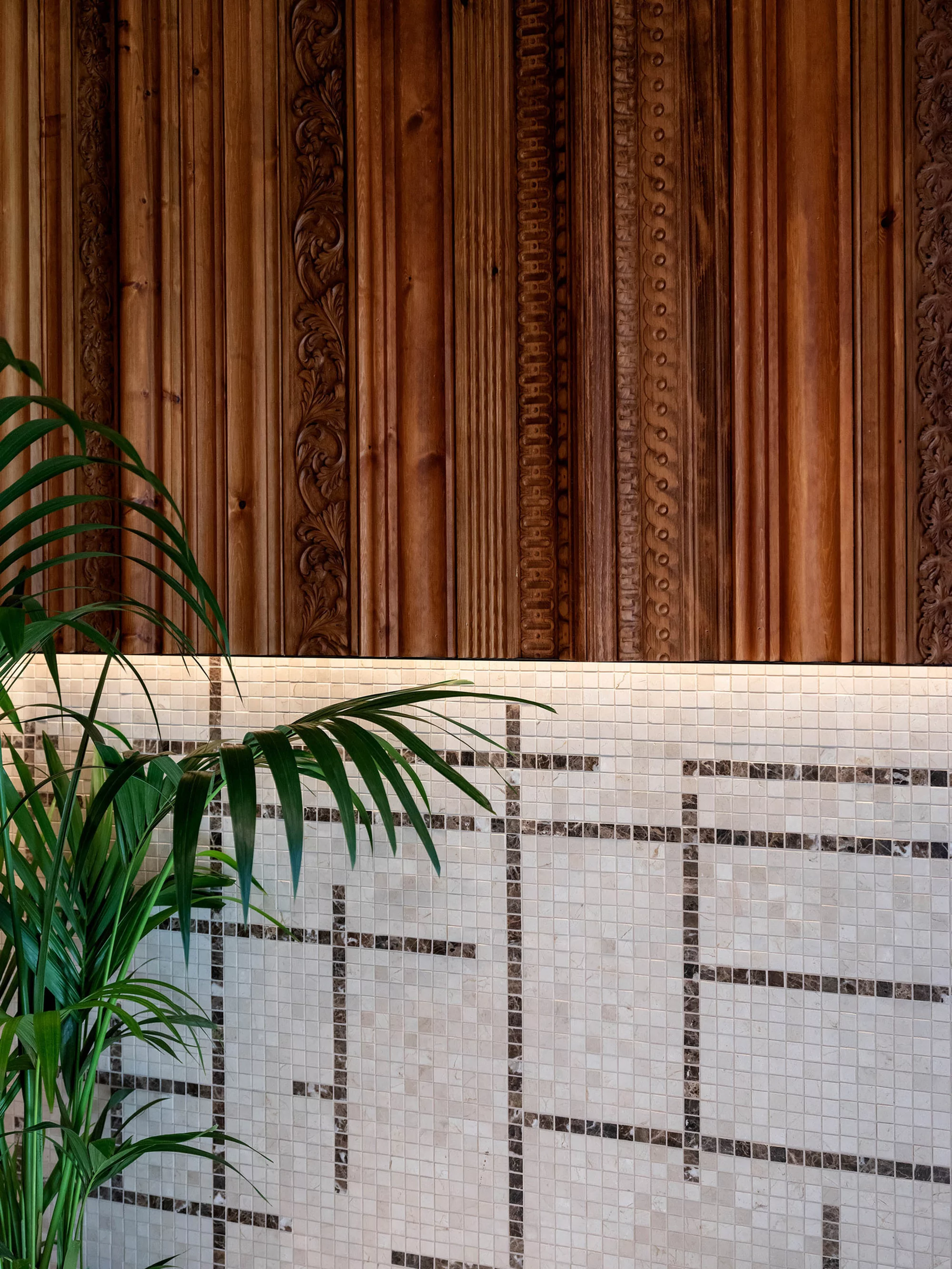Close-up interior design featuring tropical plant against a patterned wall of tile and decorative wood panels, illuminated by hidden lighting.