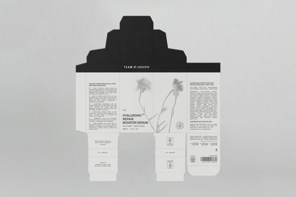 Brand Identity
