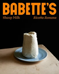 A cylindrical wedge of fresh ricotta cheese on a pale blue ceramic plate resting on a rustic wooden table against a dark background.