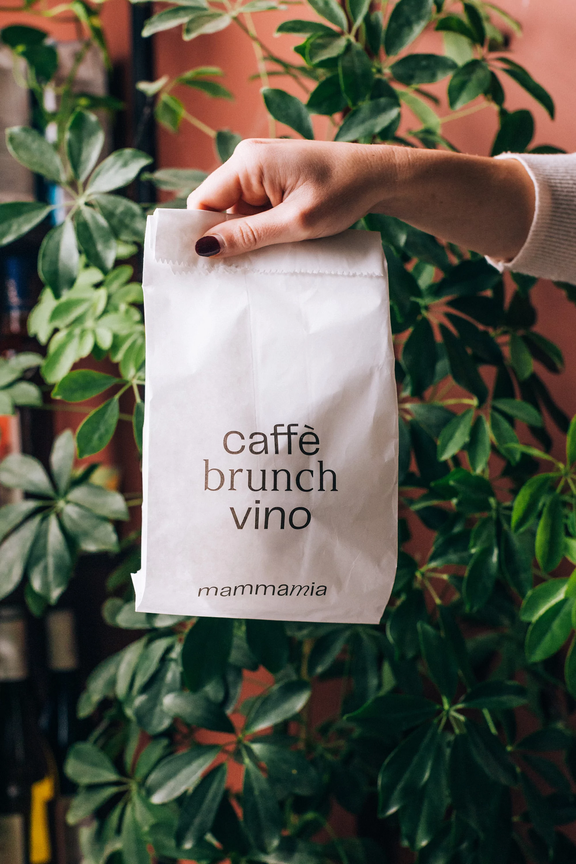 Hand holds a white paper bag with the words 'caffè brunch vino' printed on it, with a vibrant green plant in the background.