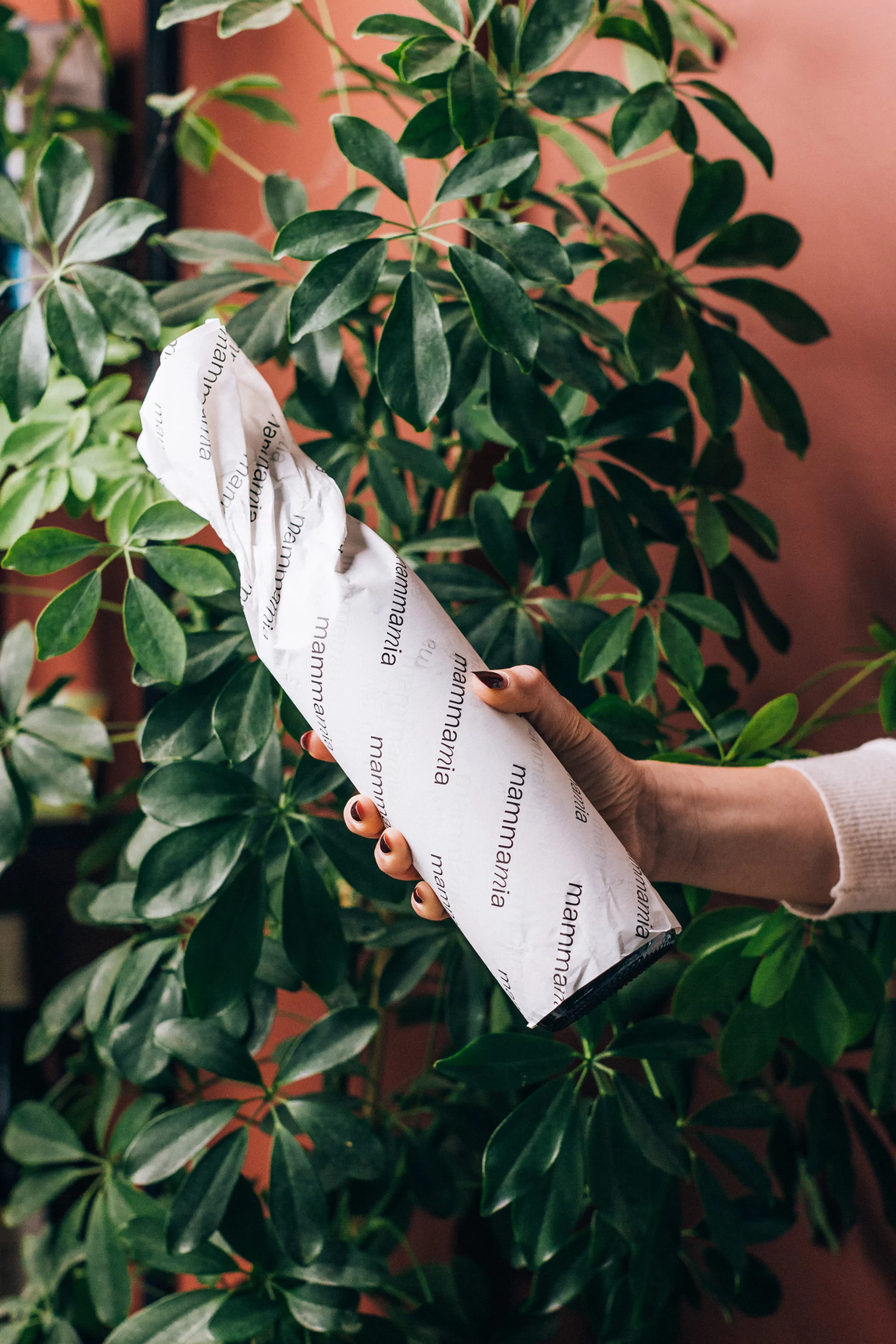 Hand holding a wrapped item with 'mammamia' text, against a green leafy plant and peach wall background, product shot, indoor.