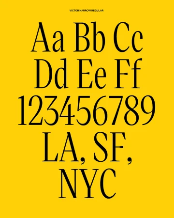 Brand Identity
