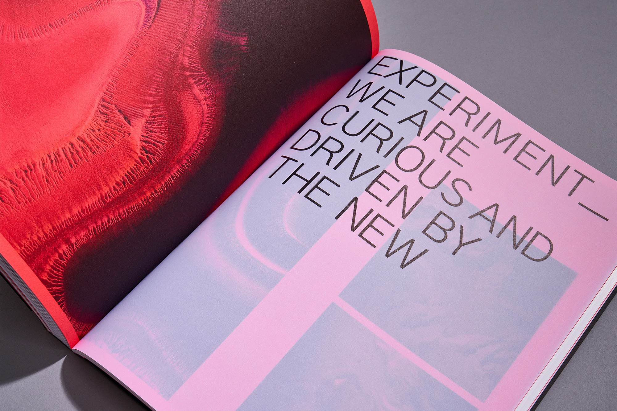 Open book with a vibrant red abstract image on the left page, and bold text on a pink and grey background on the right page.