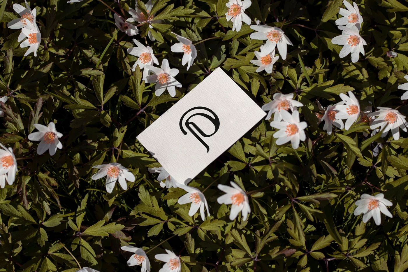 White business card with black Pueyor logo resting among green leaves and small white wildflowers