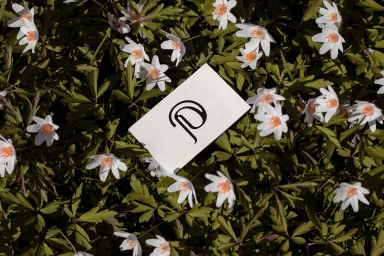 White business card with black Pueyor logo resting among green leaves and small white wildflowers