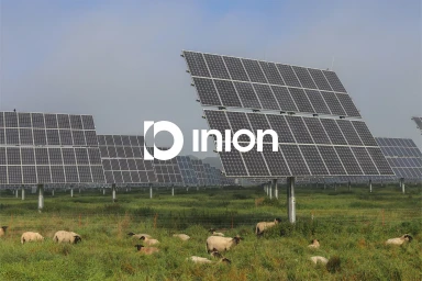 Solar panels in a green meadow with grazing sheep under an overcast sky, featuring the Inion brand logo overlay