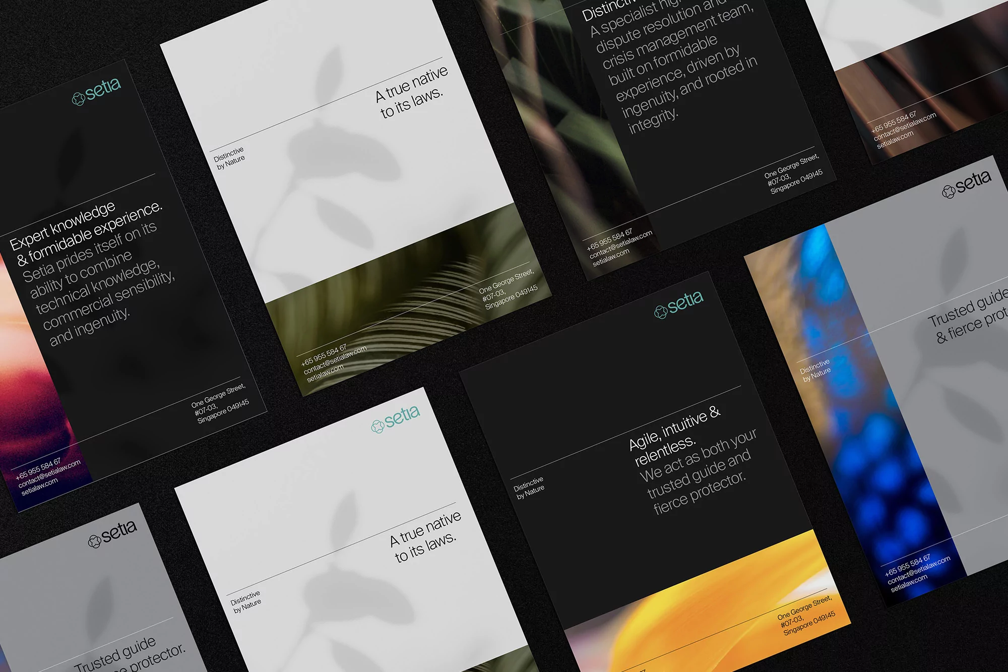 Multiple business cards with text and shadow of plant life, set against a black background creating a simple, modern design.