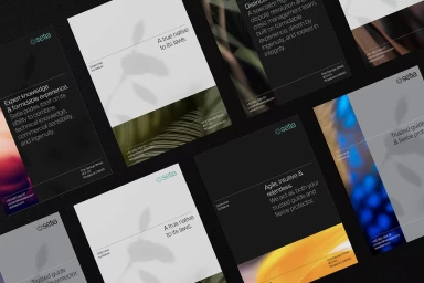 Setia brand identity collateral displaying typography, corporate statements, and photographic abstracts on dark surfaces