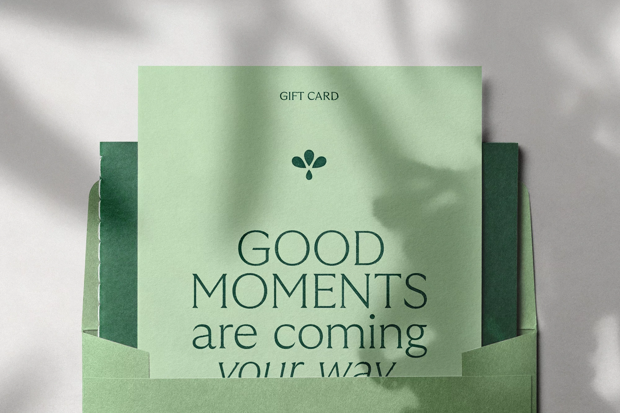 Green and white gift card with typography in an envelope, featuring stylized botanical elements and a soft shadow backdrop.