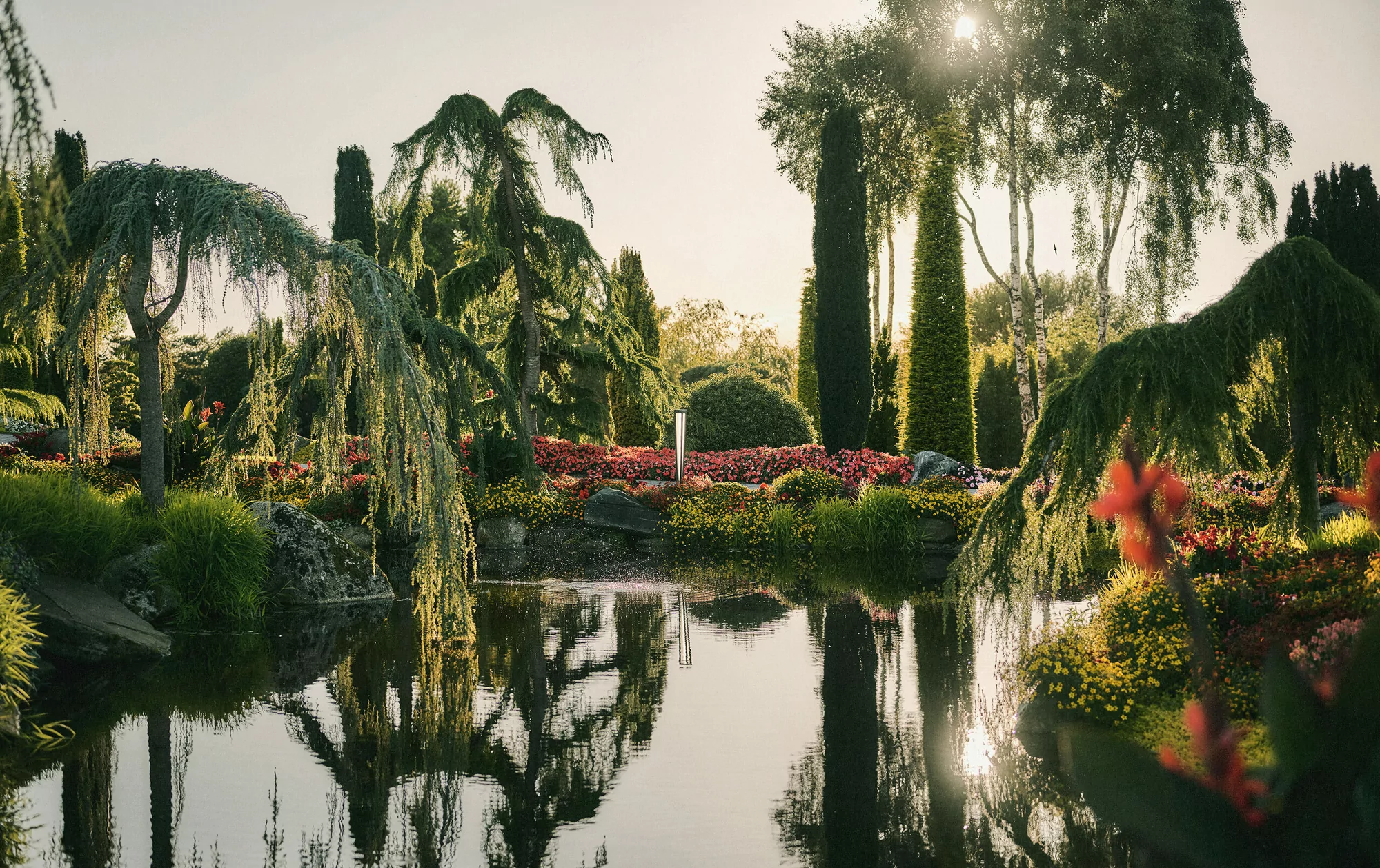 Scenic view of a pond reflecting trees and flowers in a lush garden with sunlight filtering through branches, creating a tranquil landscape.