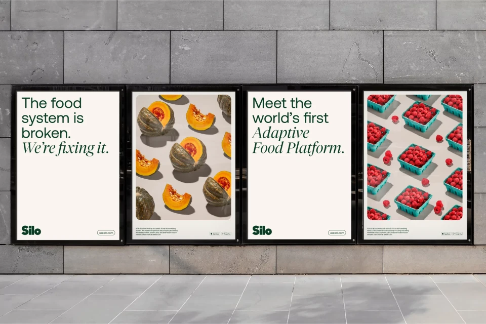 Brand Identity