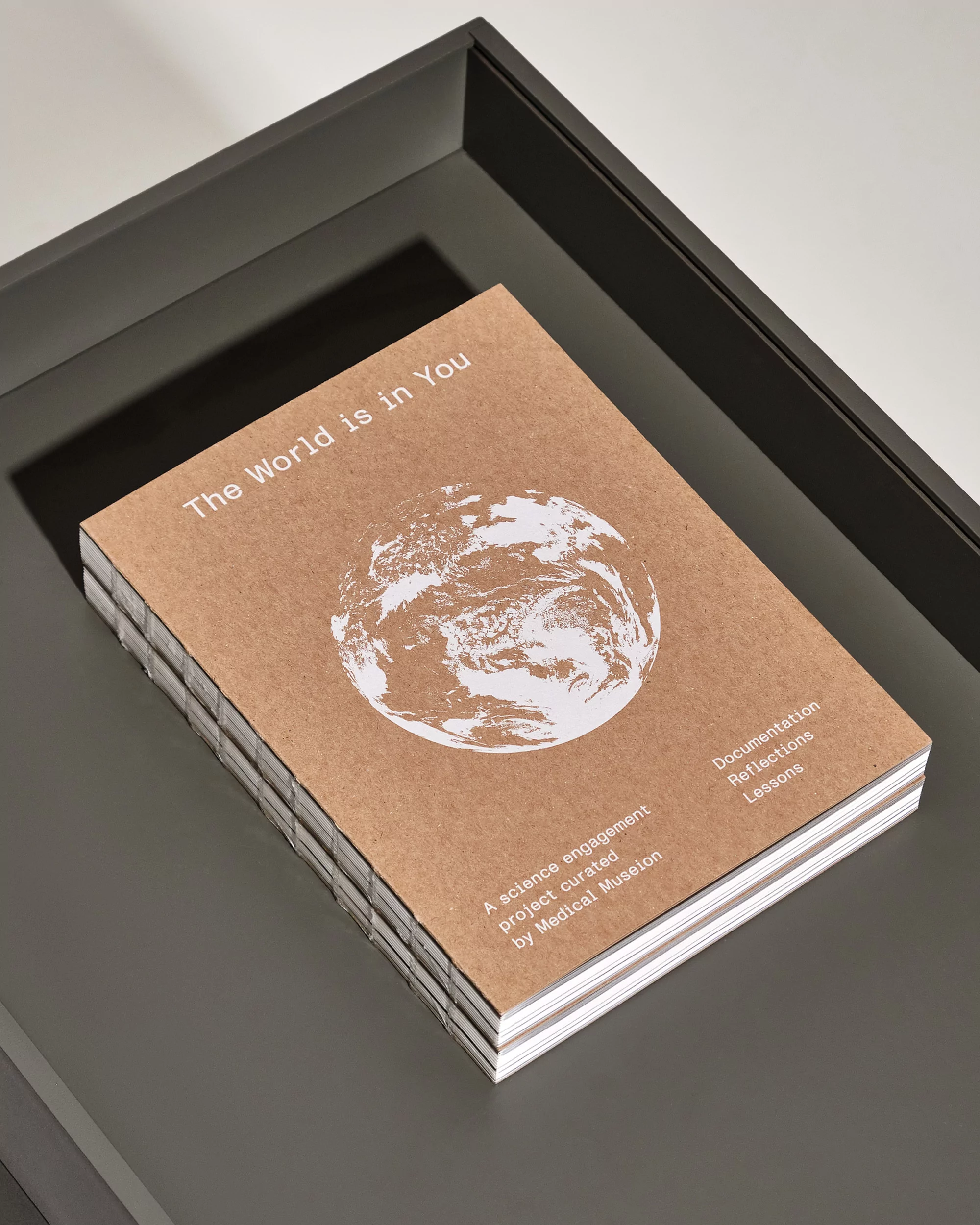 Close-up of a brown cover book on a dark gray tray, featuring a white earth graphic and the text 'The World is in You'.