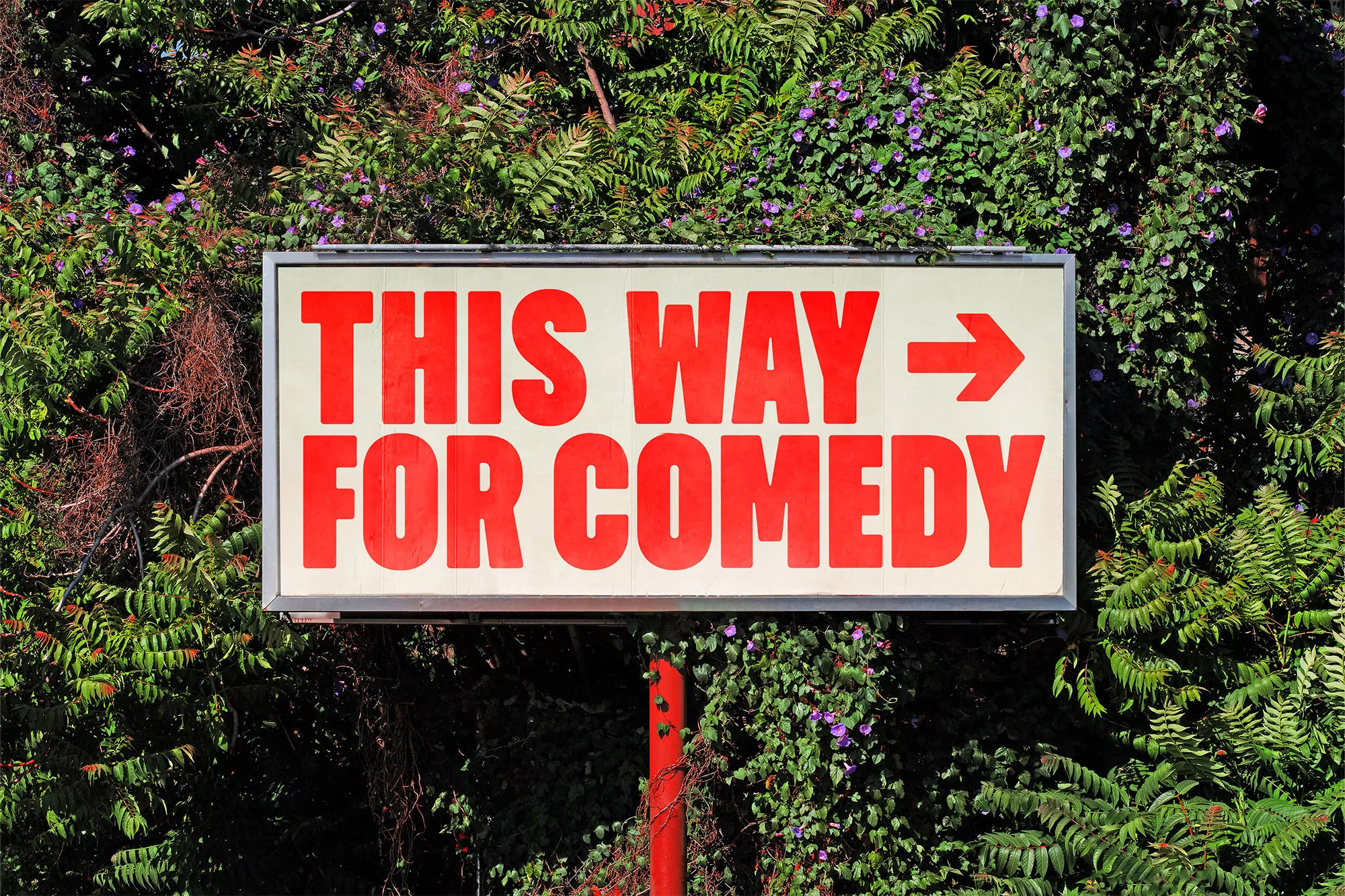 Comedy sign with arrow, red lettering on white background, surrounded by green foliage and purple flowers, directing viewers.