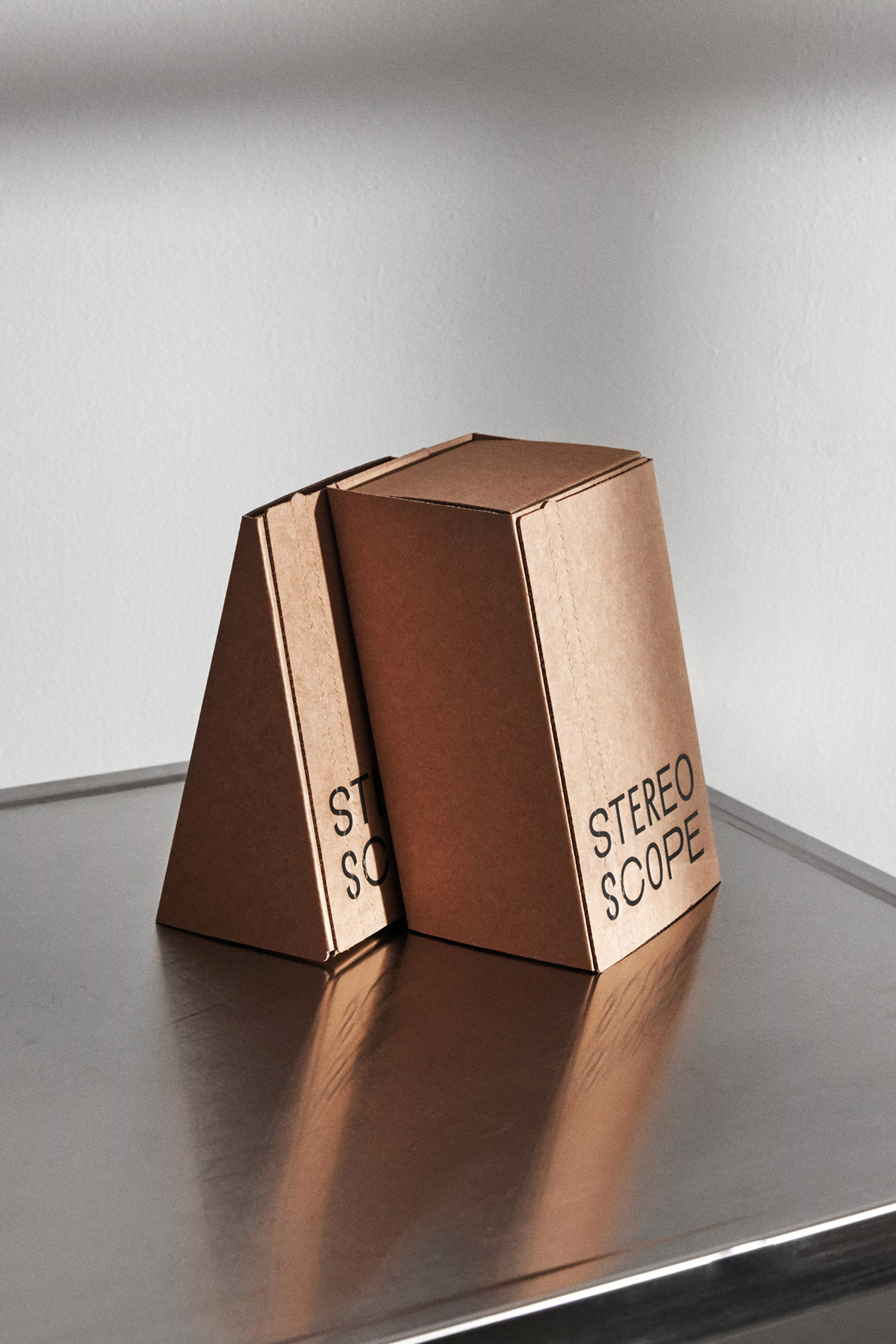 Close-up of two bronze-colored prism-shaped objects with the words 'Stereo Scope' etched on the side, sitting on a reflective surface.