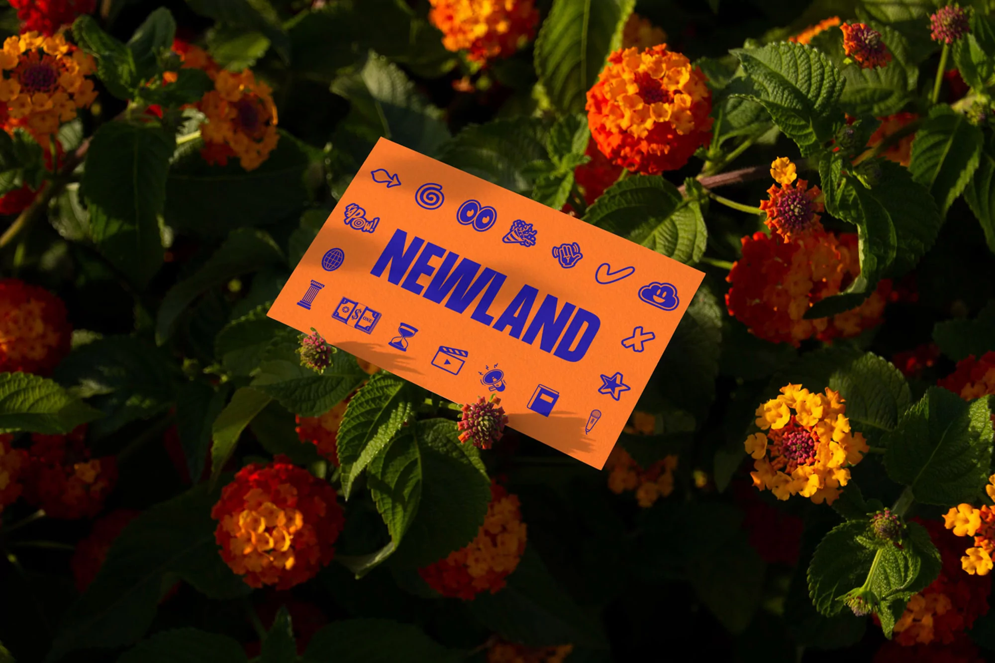 Close-up of vibrant lantana flowers surrounding a bright orange card with the word NEWLAND in blue text, with creative line art.