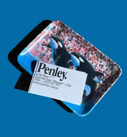 Promotional image of a tray with killer whale design, topped with a business card on a blue background.