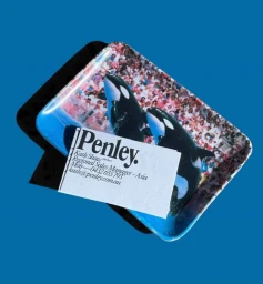 Penley business card resting on an orca whale imagery tray against a solid blue background.