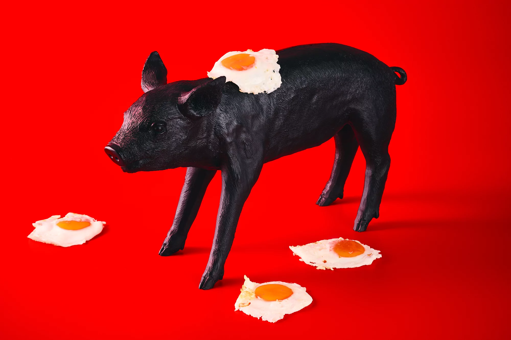A black pig figurine stands on a red surface surrounded by fried eggs, creating a surreal food art composition.