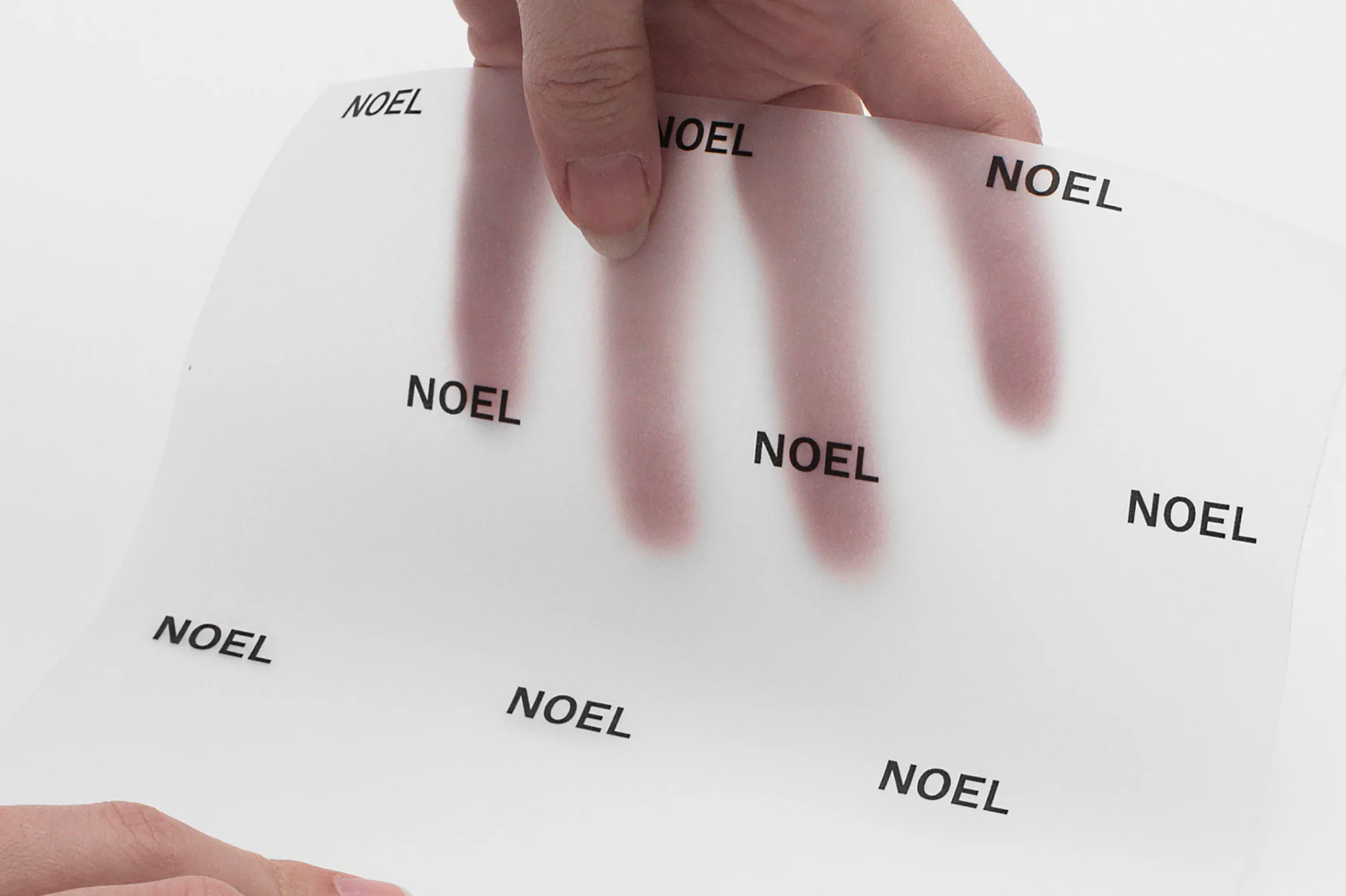 Hand holding a translucent sheet with the text “NOEL” printed repeatedly on the surface against a white background in a studio setting.