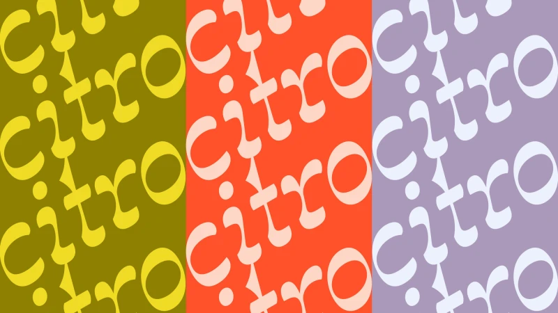 Brand Identity
