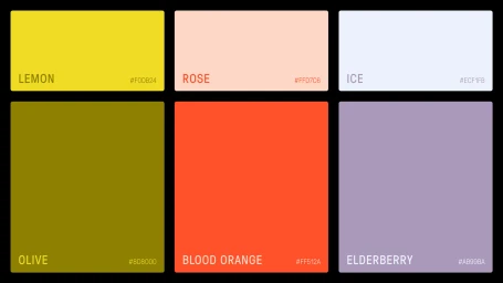 Citro brand identity color palette showcasing six rectangular swatches including lemon, rose, ice, olive, blood orange, and elderberry.